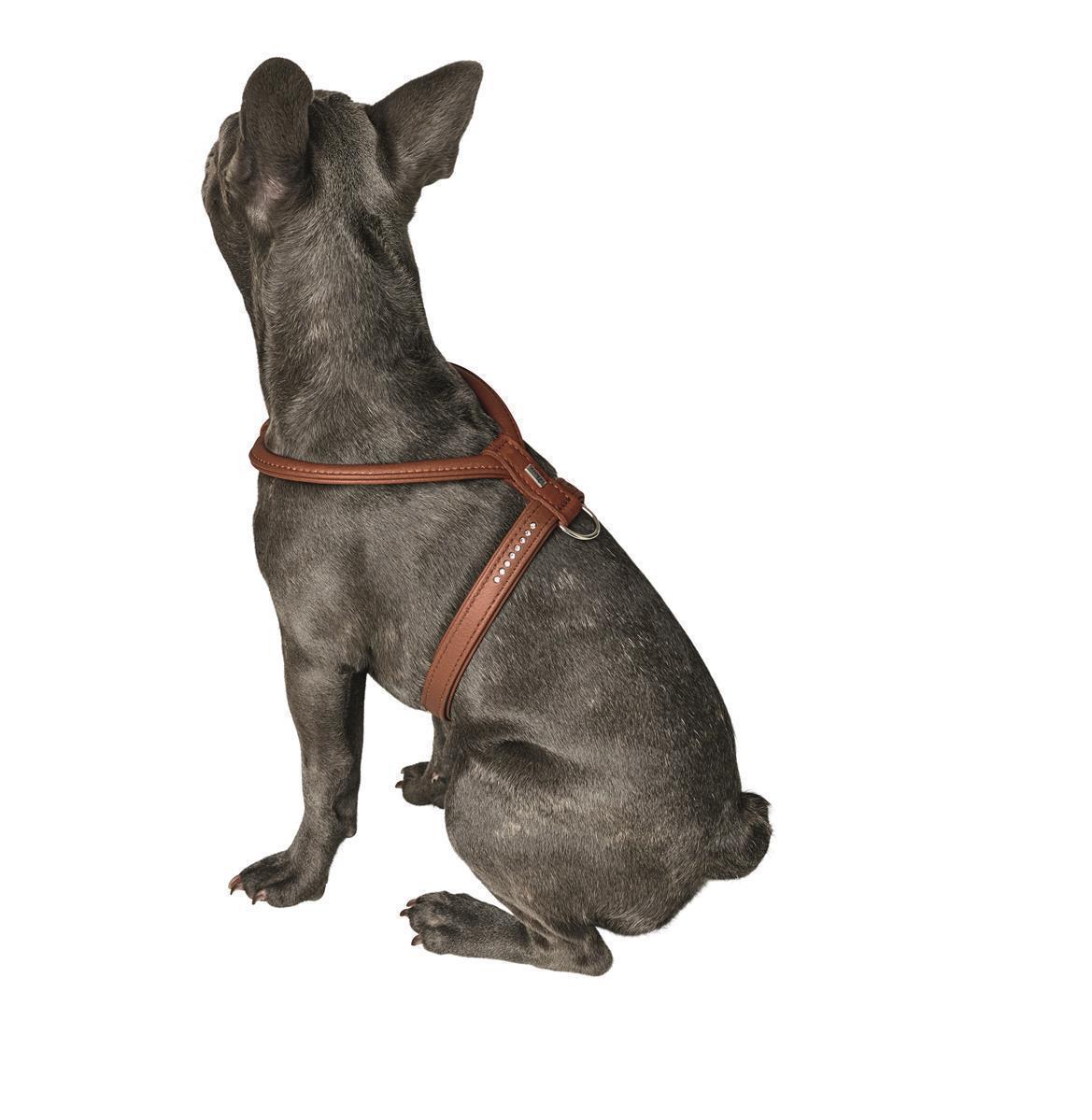 Hunter HundeGeschirr Round & Soft Luxus Petit ElchLeder cognac S