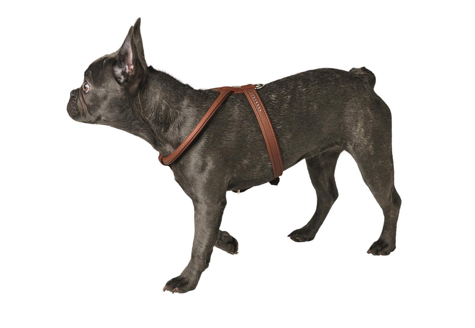 Hunter HundeGeschirr Round & Soft Luxus Petit ElchLeder Petplus24