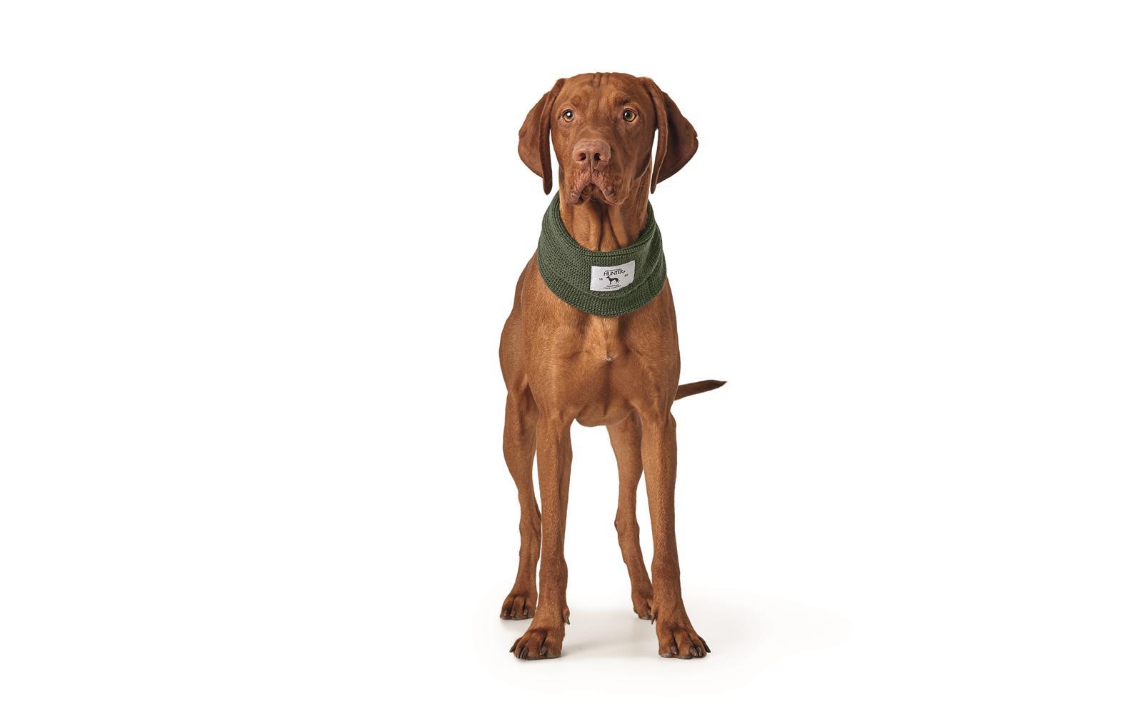 Hunter HundeSchal Nancy Petplus24