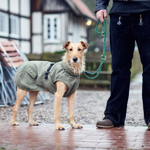 Hunter HundeMantel Uppsala Trend Petplus24
